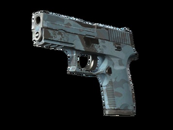 P250 | Лесная ночь