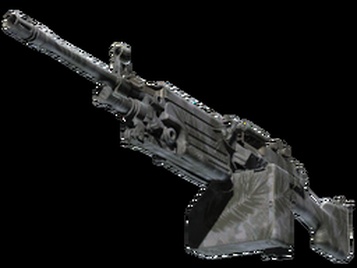 M249 | Полуночная пальма