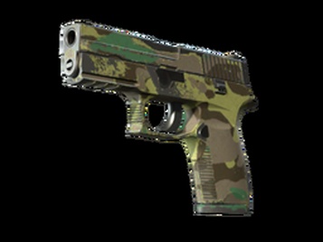 P250 | Северный лес